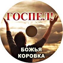 божья коровка биография группы